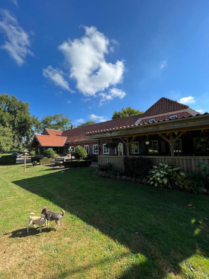 Familiehuis Boysen Bed&Breakfast Ribe Exterior photo